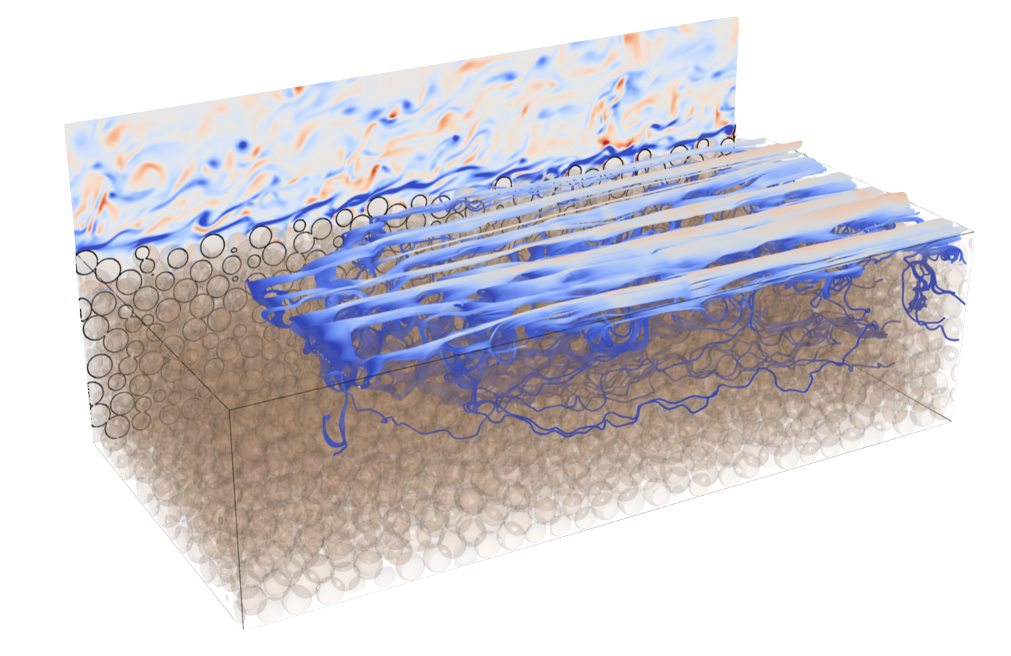 Pore-resolved simulation of turbulent flow over a permeable bed of packed grains, with vortical structures penetrating the sediment and the overlying vorticity field that drives hyporheic exchange.