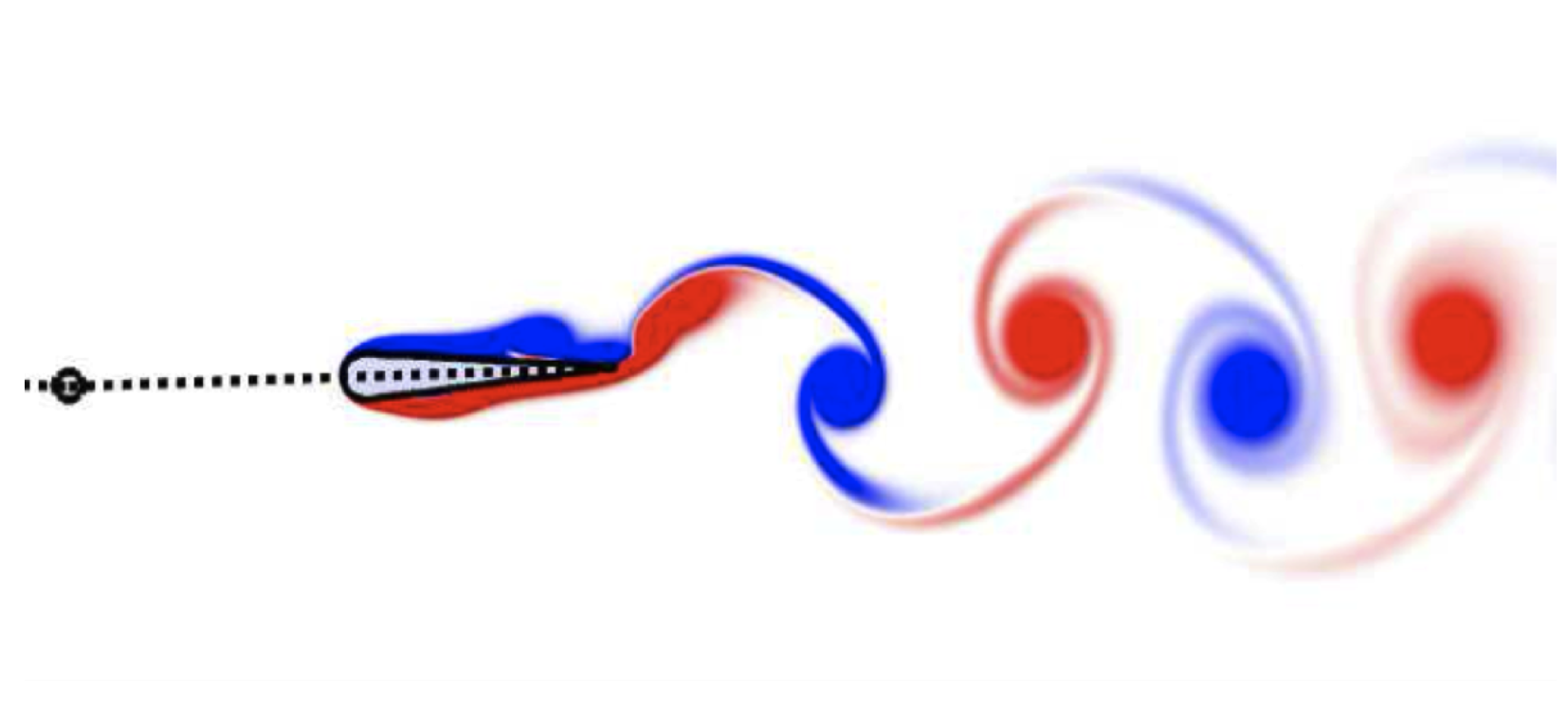 Spanwise-vorticity field of the self-propelled two-body swimmer and its vortex wake, from direct numerical simulation.
